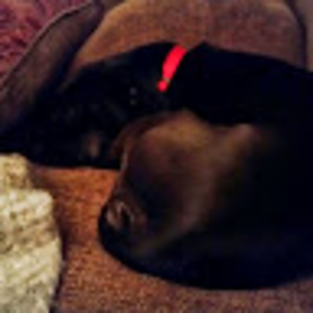 Meet your Posher, Leslie